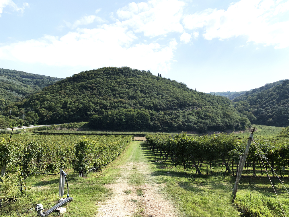 Carra – Valpolicella